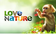 Love Nature Live Online România | Program Love Nature HD
