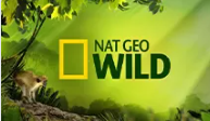 National Geographic Wild Live Online România | Program Nat Geo Wild HD
